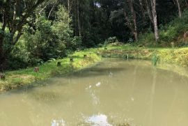 imóvel a venda