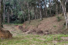 Terreno &agrave; venda Centro (Areia Branca dos Assis) com 4660m&sup2; e 1 quarto por R$ 140.000 - img-20250903-wa0020.jpg