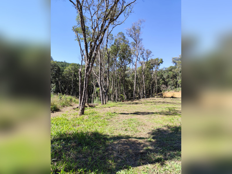 imóvel com 4660m² - Centro (Areia Branca dos Assis) - Mandirituba