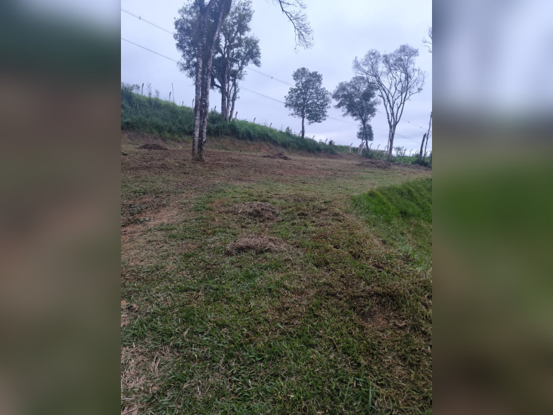 imóvel com 4660m² - Centro (Areia Branca dos Assis) - Mandirituba