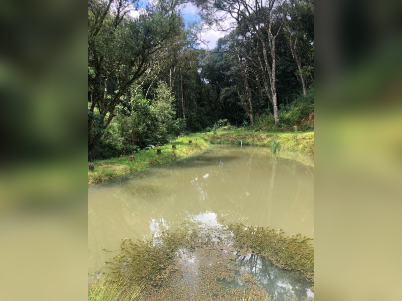 imóvel com 4660m² - Centro (Areia Branca dos Assis) - Mandirituba