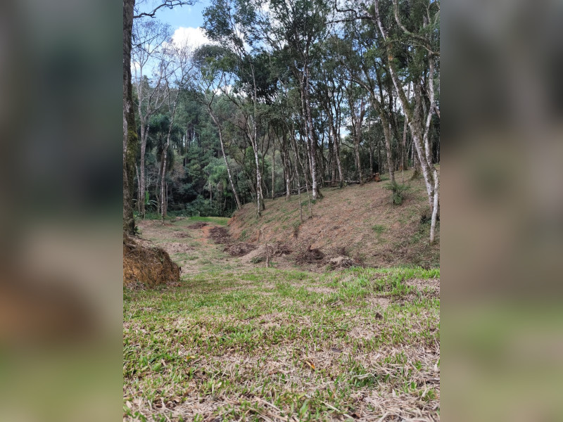 imóvel com 4660m² - Centro (Areia Branca dos Assis) - Mandirituba