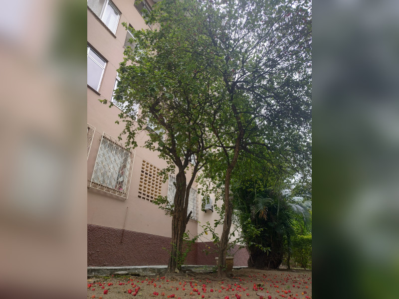 imóvel com 53m² - Realengo - Rio de Janeiro