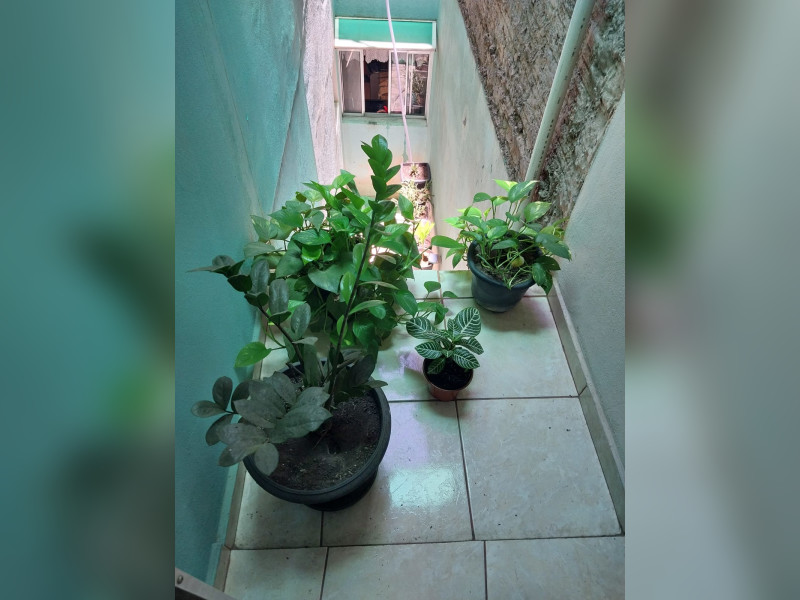 imóvel com 75m² - Jardim Elvira - Osasco