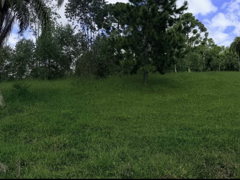 imóvel com 1000m² - Carmo Messias - Ibiúna
