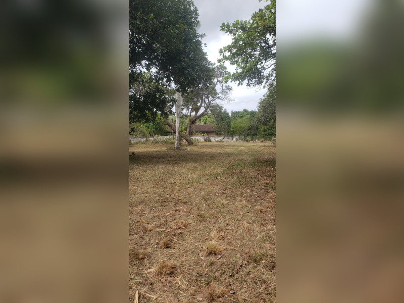 imóvel com 5000m² - Aldeia dos Camarás - Camaragibe
