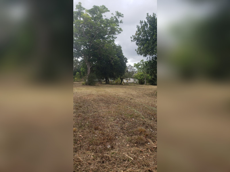 imóvel com 5000m² - Aldeia dos Camarás - Camaragibe