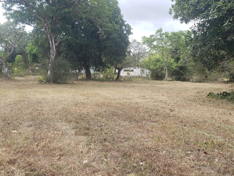 imóvel com 5000m² - Aldeia dos Camarás - Camaragibe