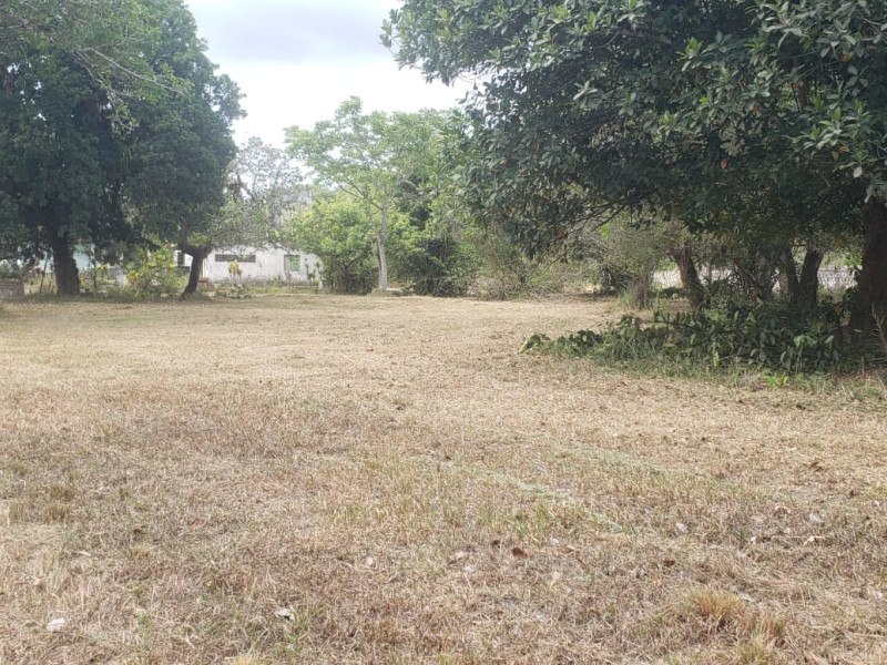 imóvel com 5000m² - Aldeia dos Camarás - Camaragibe