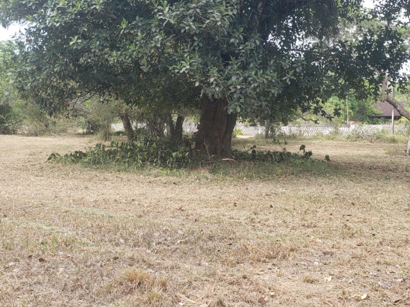 imóvel com 5000m² - Aldeia dos Camarás - Camaragibe