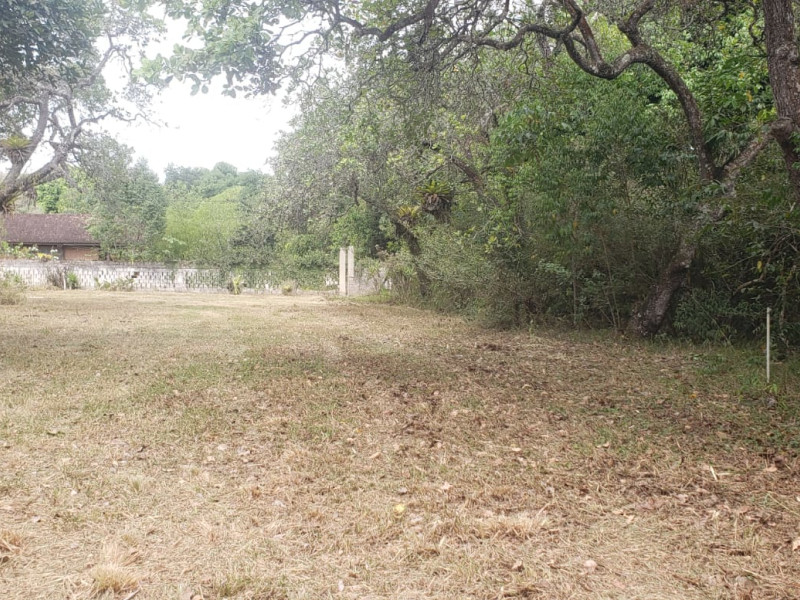 imóvel com 5000m² - Aldeia dos Camarás - Camaragibe