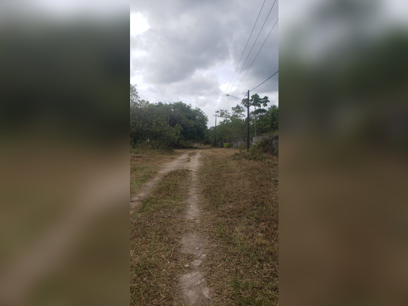 imóvel com 5000m² - Aldeia dos Camarás - Camaragibe