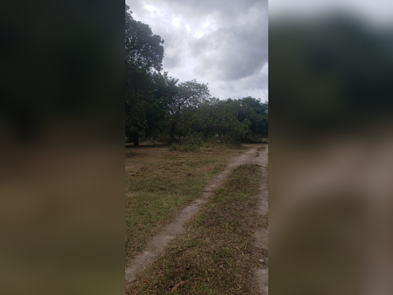 imóvel com 5000m² - Aldeia dos Camarás - Camaragibe