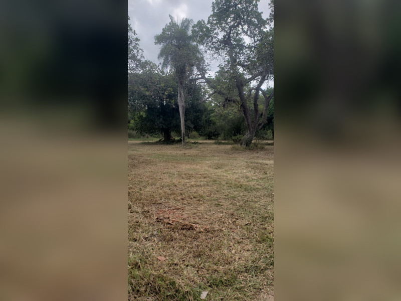 imóvel com 5000m² - Aldeia dos Camarás - Camaragibe