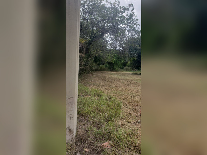 imóvel com 5000m² - Aldeia dos Camarás - Camaragibe