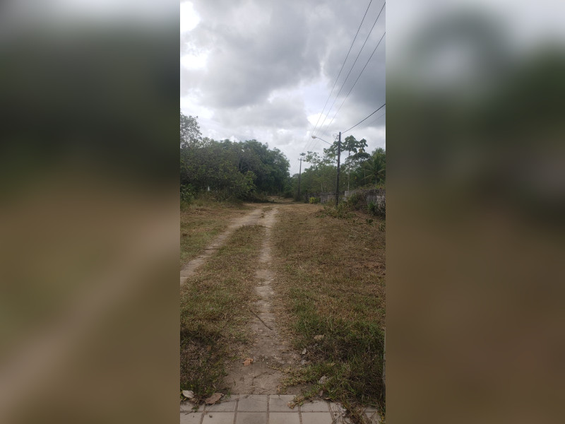 imóvel com 5000m² - Aldeia dos Camarás - Camaragibe