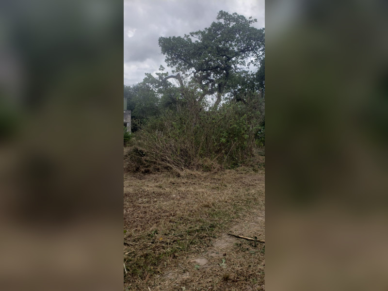 imóvel com 5000m² - Aldeia dos Camarás - Camaragibe