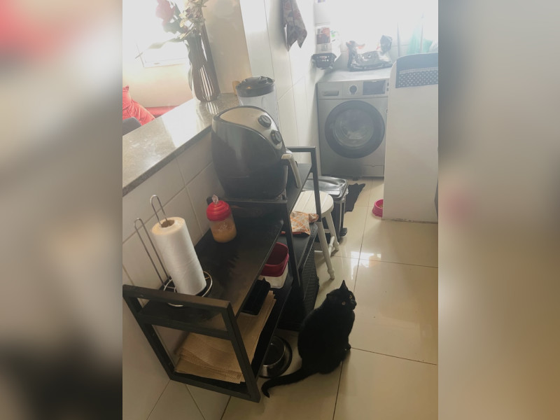imóvel com 49m² - Vila Moraes - São Paulo