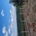 Clarice - Vendendo - Chácara com 30750m² - centro - Chapada dos Guimarães