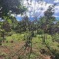 Gabriel - Vendendo - imóvel com 1000m²