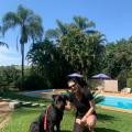 Paula, que procura negociar um imóvel em Almada, Barra Seca (Praias Vermelha e Alto), Bela Vista, Ubatuba, em torno de R$ 250.000