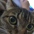 Mariella, que procura negociar um imóvel em Jaguaré, São Paulo, em torno de R$ 250.000