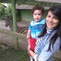 Roberta, que procura negociar um imóvel em Água Verde, Escola Agrícola, Velha Central, Blumenau, em torno de R$ 1.600