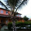 CATIA