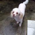 { Luiza } { Claudia }