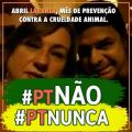 Beatriz  Zambotto - Usuário do Proprietário Direto