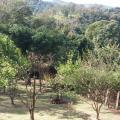 Manoel 