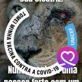 Januária