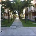 Francisco - Vendendo - Apartamento com 65m² - Passaré - Fortaleza
