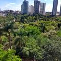 Simone - Alugando - Comercial com 1000m² - Belvedere - Belo Horizonte