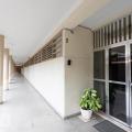 Patrícia - Vendendo - Apartamento com 85m² - Icaraí - Niterói