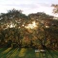 Juliana - Vendendo - Sítio com 20000m² - Centro - Oriente