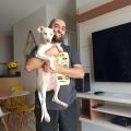 Fabricio