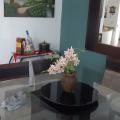 Sandroimports@terra.com.br