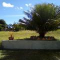 Augusto