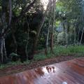Alessandra - Negociando - Sítio com 2000m² - Centro - Brumadinho