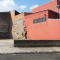 Sueli