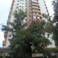 LOURENÇO - Vendendo - imóvel com 86m²