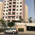 Telma  Rissato - Usuário do Proprietário Direto