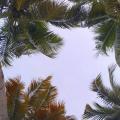 Hellen - Vendendo - Apartamento com 95m² - Piedade - Jaboatao dos Guararapes