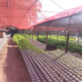 Marcílio - Vendendo - Terreno com 1800m² - Maria Virgínia - Belo Horizonte