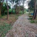 Sara - Vendendo - Chácara com 5000m² - N. Sra da Paz - São Joaquim de Bicas