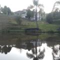 Jocelia