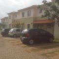 Aurea