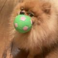Janey