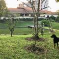 Antônio - Vendendo - Casa com 725m² - Passo Manso - Blumenau